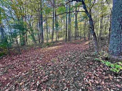 TBD Shelor Rd, Meadows of Dan, VA 24120 - photo 4