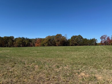 0 Irish Rd unit 75021, Chatham, VA 24531 - photo 4