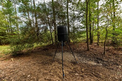 0 Texas 105, Hull, TX 77564 - photo 4