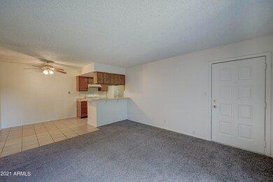 1111 E University Dr, 223-4