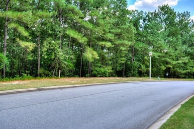 ROAD VIEW OF LOT