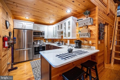 30 Village Dr unit 3, Oakland, MD 21550 - photo 5