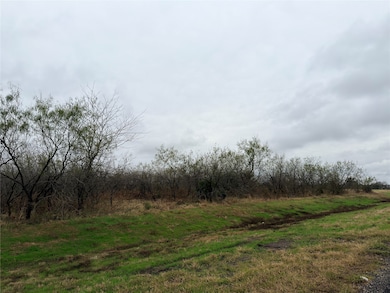 Tract 129C Hwy 31 Bypass, Corsicana, TX 75110 - photo 3