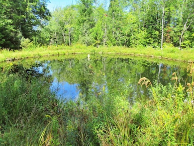 432 Farm Rd, Lowell, VT 05847 - photo 4