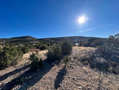 Lot 14 Diamond Tail Rd, Placitas, NM 87043 - photo 4