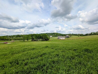 1112 Iron Bridge Rd, Columbia, TN 38401 - photo 6