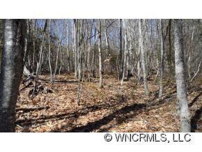 Additional View Of House Site