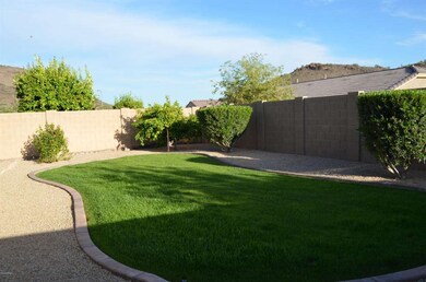 Back Yard to South East