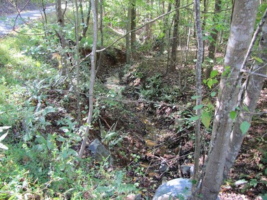 Lot 42 Melmark Acres Trail, Stuart, VA 24171 - photo 4