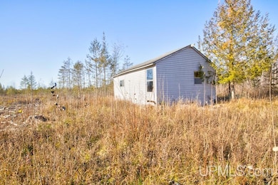 9311 County 509 Y Rd, Ensign Township, MI 49878 - photo 6