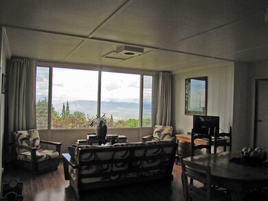 1611 Lower Kimo Dr, Kula, HI 96790 - photo 3