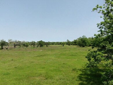 0 County Road 519, Brazoria, TX 77422 - photo 6