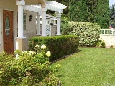 Landscape Front yard