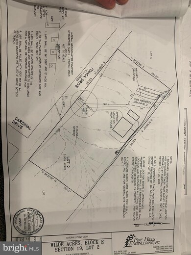 906 Ithaca, Winchester, VA 22601 - photo 6