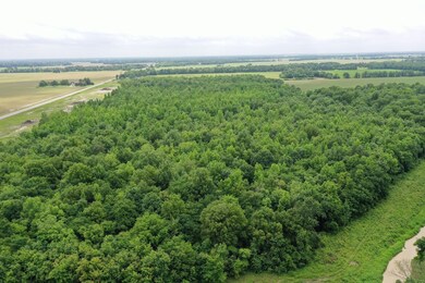 67 County Road 352, Neelyville, MO 63954 - photo 5