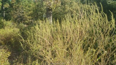 8414 Mayhaw Ln, Plantersville, TX 77363 - photo 6