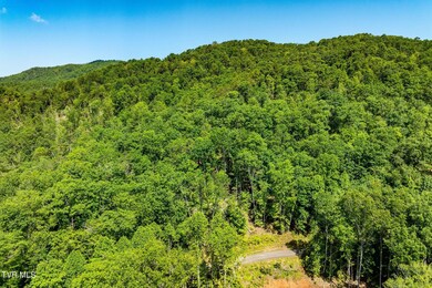 TBD Longview Private Drive (9 of 22)
