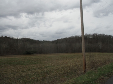 0 Kentucky 207, Argillite, KY 41121 - photo 2