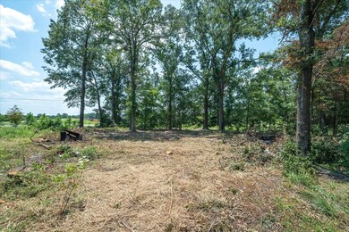 TBD I-20 Service Rd, Wills Point, TX 75169 - photo 7