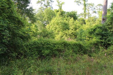 0 Bradbury Dr unit 78869892, Hockley, TX 77447 - photo 6