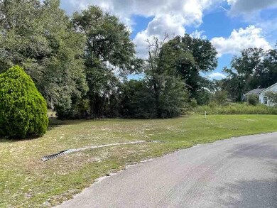 XX Fairway Dr, Crawfordville, FL 32327 - photo 3