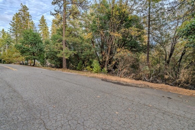 17686 S Mace Dr, Pioneer, CA 95666 - photo 7