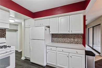 1105 Canyon View Rd unit 305, Northfield, OH 44067 - photo 6