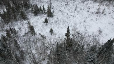 TBD County Hwy N, Solon Springs, WI 54873 - photo 4