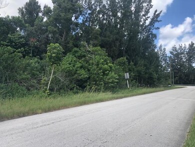 0 SW 63rd Manor, Southwest Ranches, FL 33331 - photo 5