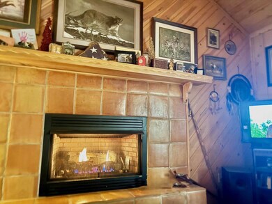 156 Peter Knob Rd, Blue Ridge, GA 30513 - photo 3