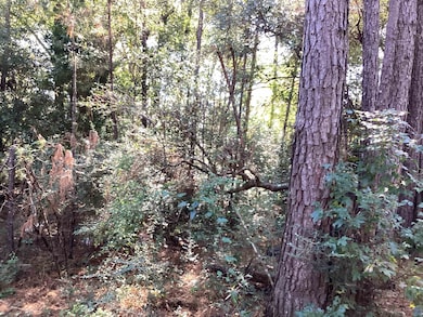 0 County Road 3038, Newton, TX 75966 - photo 3