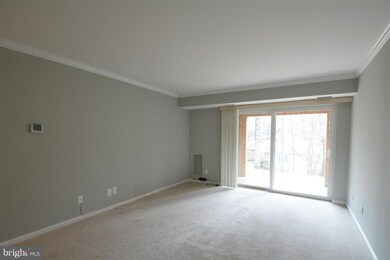 5831 Cove Landing Rd unit 101, Burke, VA 22015 - photo 7