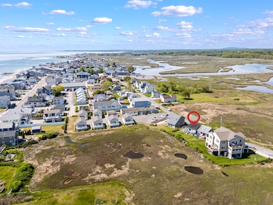 Mile Road Aerial
