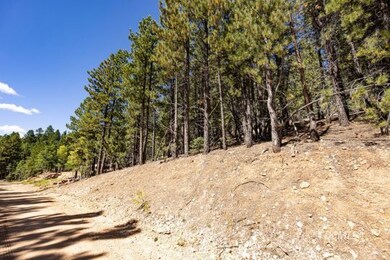 Gulf Stream Property