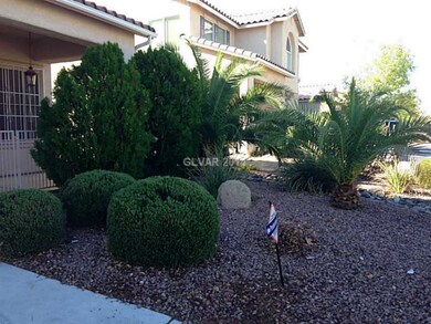 Yard/Garden.