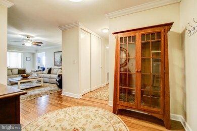 5901 Mount Eagle Dr unit 618, Alexandria, VA 22303 - photo 2