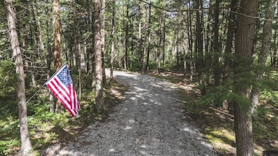 2349 Muskegon Rd, Harrison, MI 48625 - photo 5