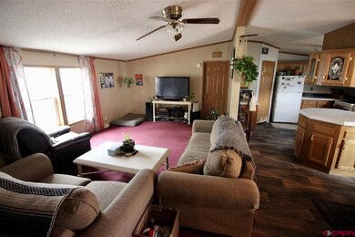 11 Ponderosa Ln unit Lot 5, Gunnison, CO 81230 - photo 4