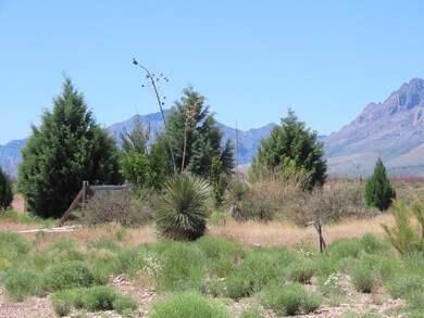 1770 S B Lee Ln unit S, Portal, AZ 85632 - photo 4