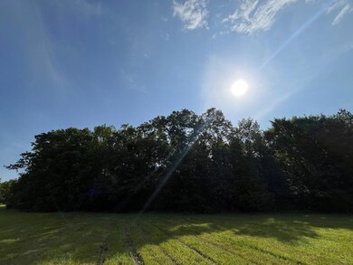 0 Hudspeth Rd, Hickory Flat, MS 38633 - photo 4