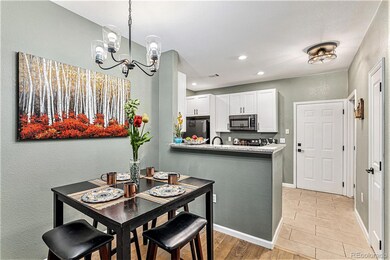 4015 S Dillon Way unit 102, Aurora, CO 80014 - photo 5