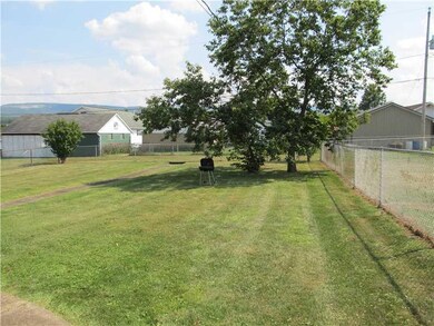 Yard/Garden. Chestnut trees!