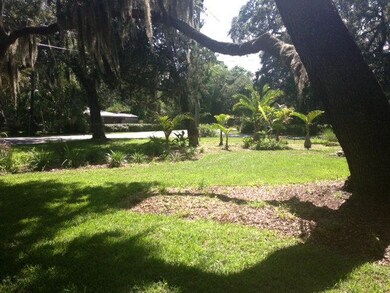 Additional View