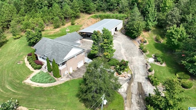 3941 Shoal Creek Rd, Ashville, AL 35953 - photo 3