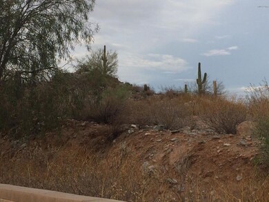 Desert Views from Back Yard