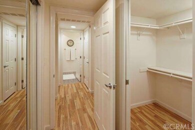 Walk-in closet and another sliding mirrored wardro