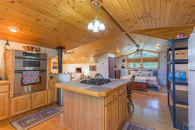 33103 Little Bear Dr, Trinidad, CO 81082 - photo 6