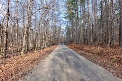 0 Double Bridges Rd unit Madison GA 30650, Rutledge, GA 30663 - photo 4