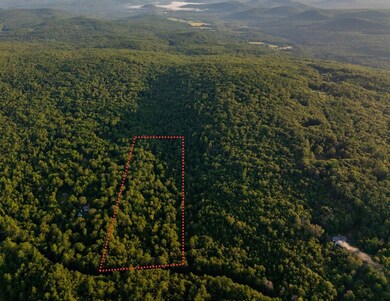 0 Northfield Rd unit 73384011, Warwick, MA 01378 - photo 5