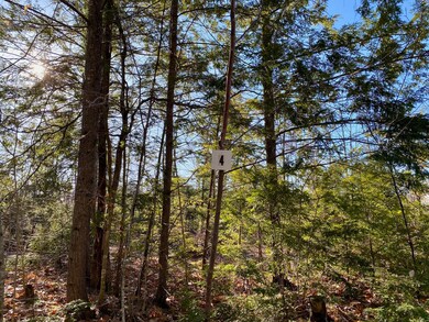 Lot 4 Great Falls Rd, Gorham, ME 04038 - photo 3